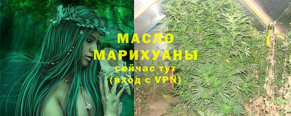 сатива Балахна