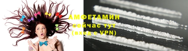 сатива Балахна