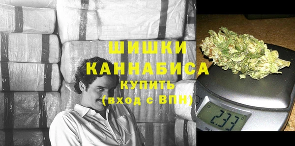 сатива Балахна