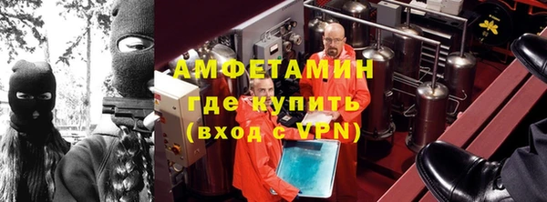 сатива Балахна