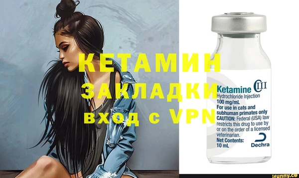 сатива Балахна