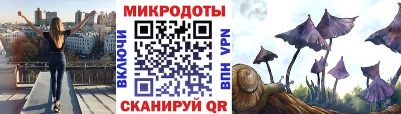 Псилоцибиновые грибы Psilocybine cubensis  закладка  Сольцы 